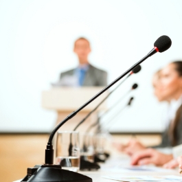 The Panel / 